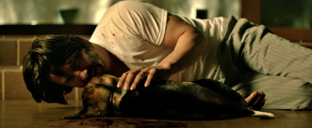 基努里维斯最新视频,基努里维斯年轻时候太帅了