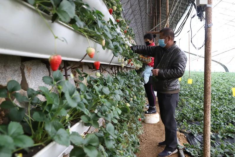 大连庄河这个城市怎么样,大连庄河前景如何