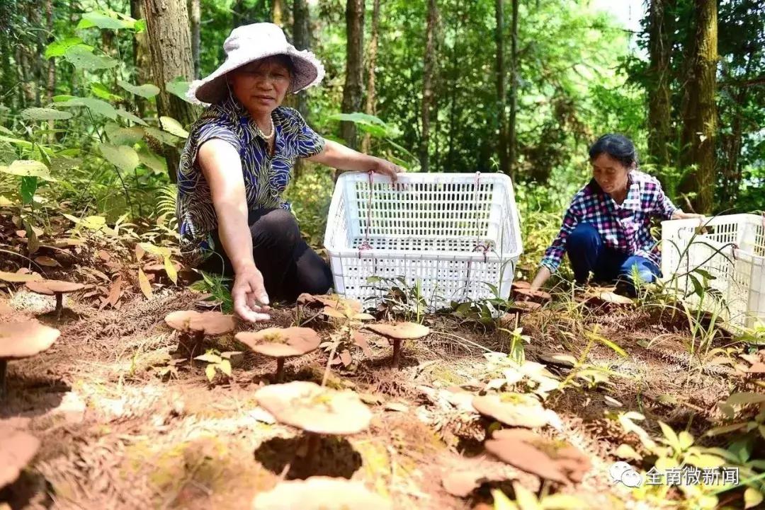 子时到子时,申时到亥时14个时辰