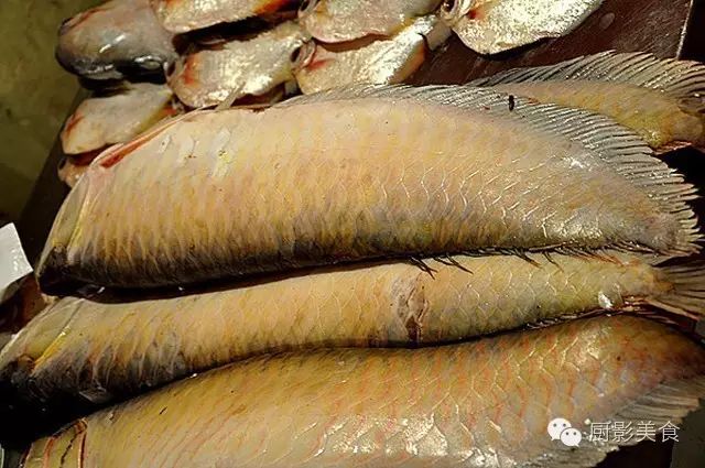 世界顶级淡水鱼大全,世界上顶级鱼类大全