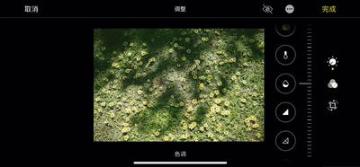 iphone自带软件5个实用功能,iphone手机方便快捷实用小技巧