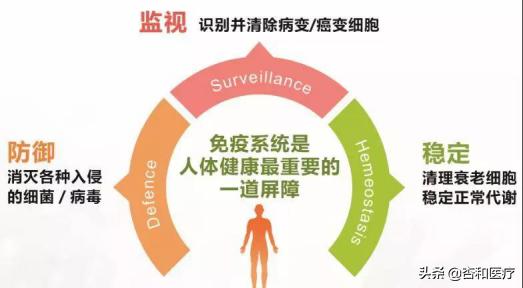 免疫治疗小细胞癌症最新突破,抗癌细胞疗法最新消息