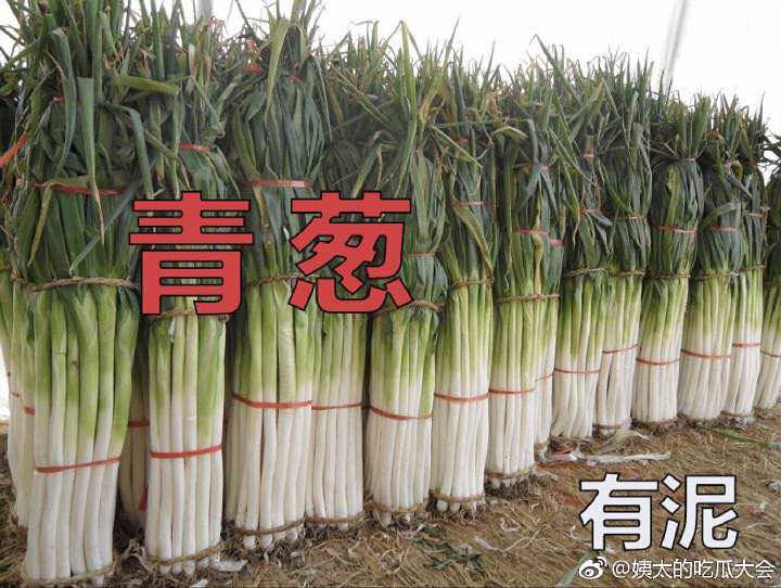 鏄撶儕鍗冪幒鐜嬭仾,鏄撶儕鍗冪幒鍜岀帇鎬濊仾鍚堢収