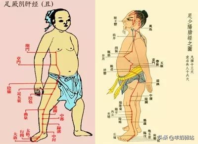 肝堵如何治疗,肝堵脾堵怎么调理才疏通