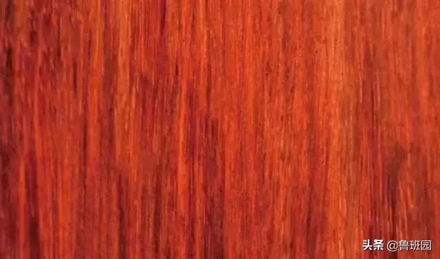 花梨木有哪几种木材,花梨木的十种鉴别方法