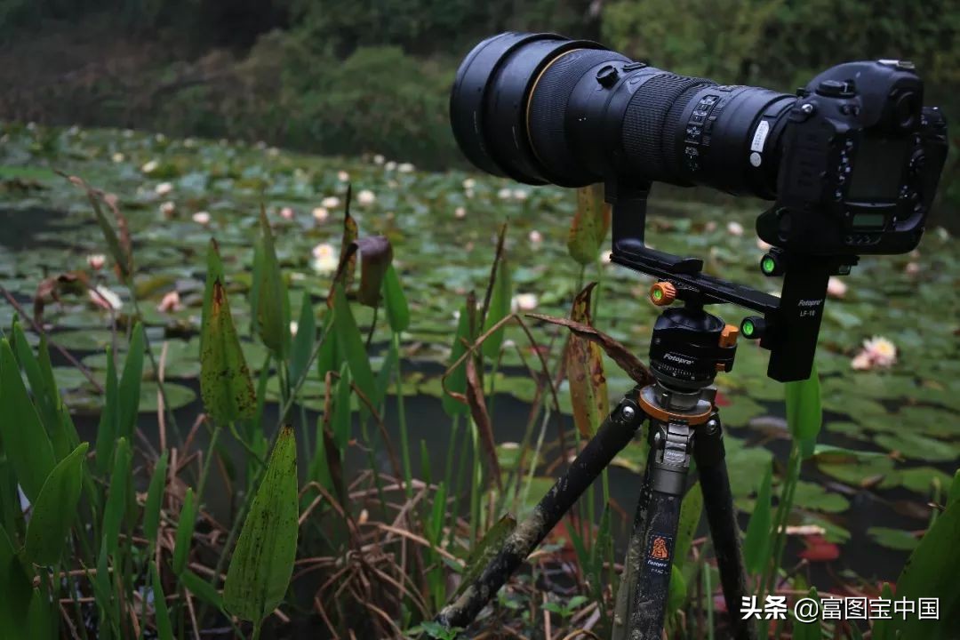 新手入门三脚架如何选择,怎么挑选三脚架的高度