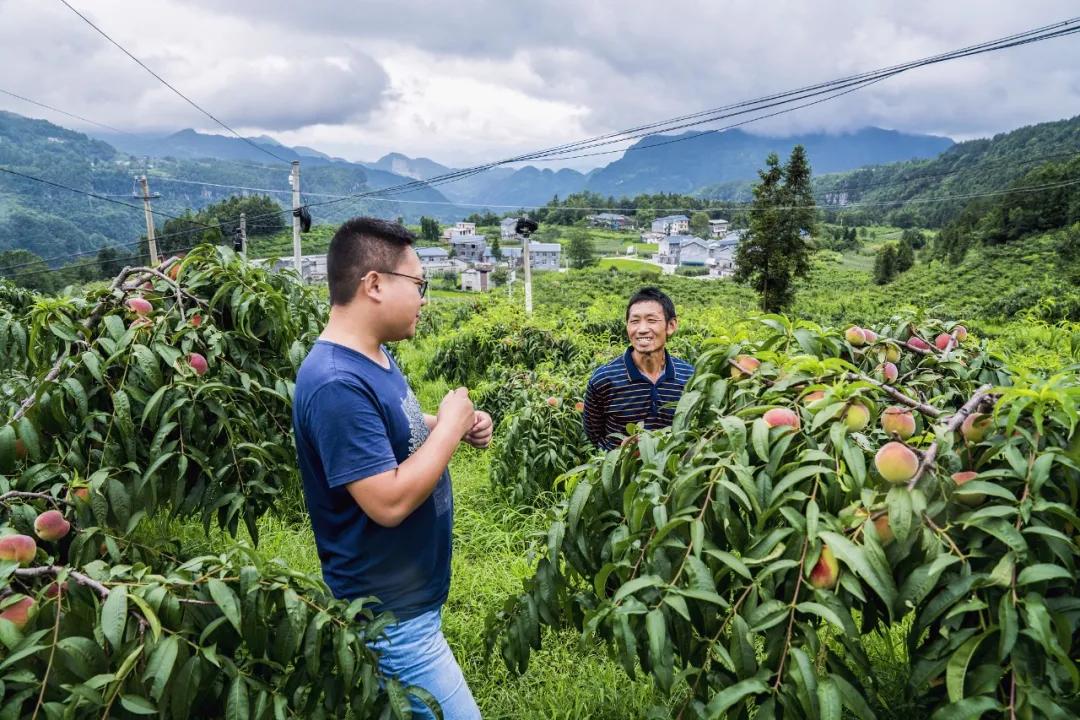 全球新冠肺炎累计确诊破1亿感想,全球新冠肺炎疫情感染人数破亿