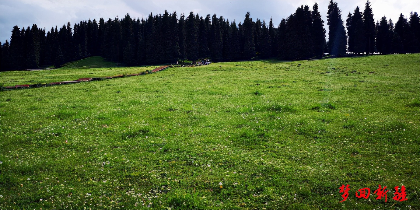 梦回新疆梦回拉萨,梦回伊宁草原视频