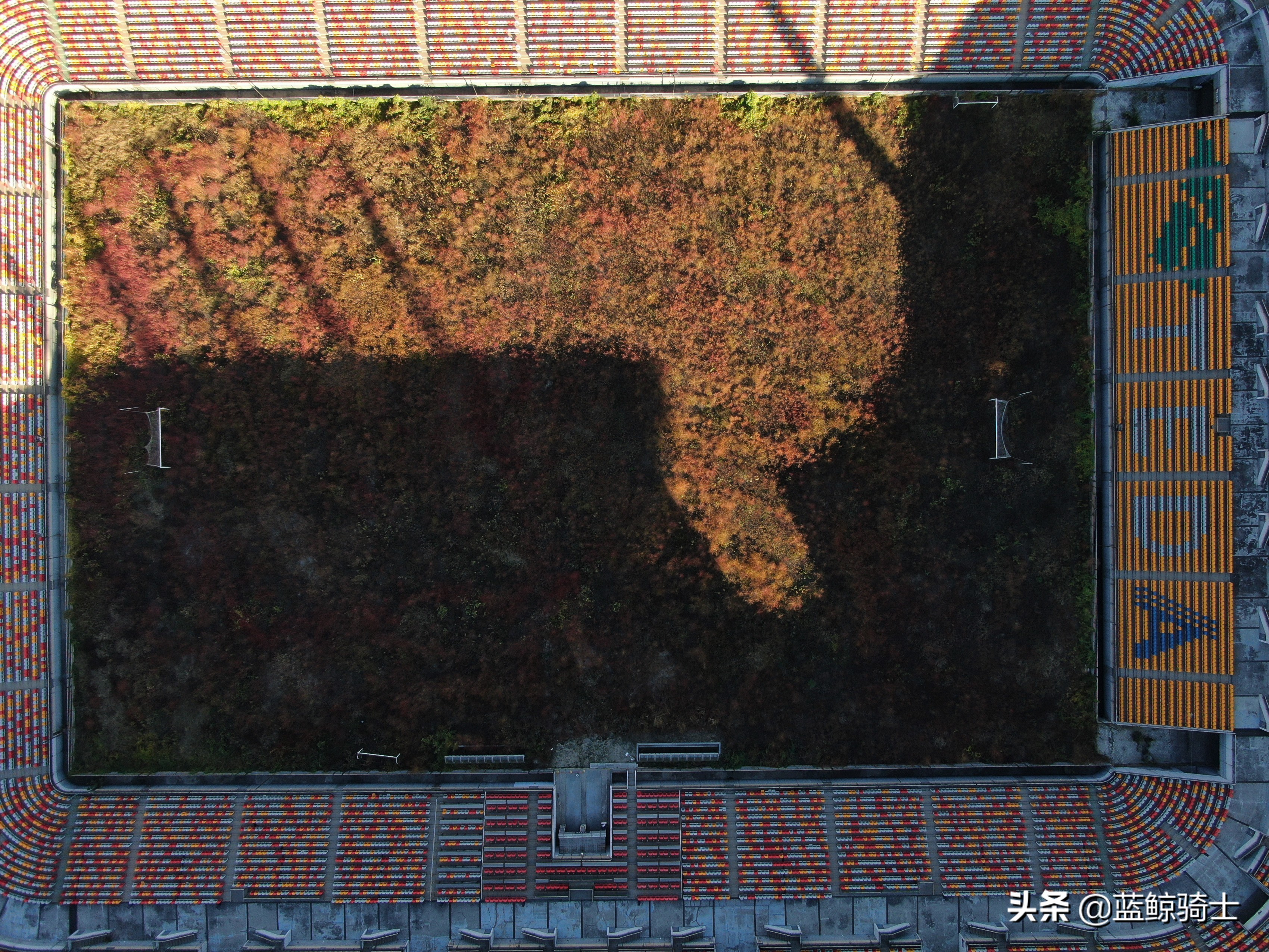 天津泰达专业球场,天津泰达第一座专业足球场