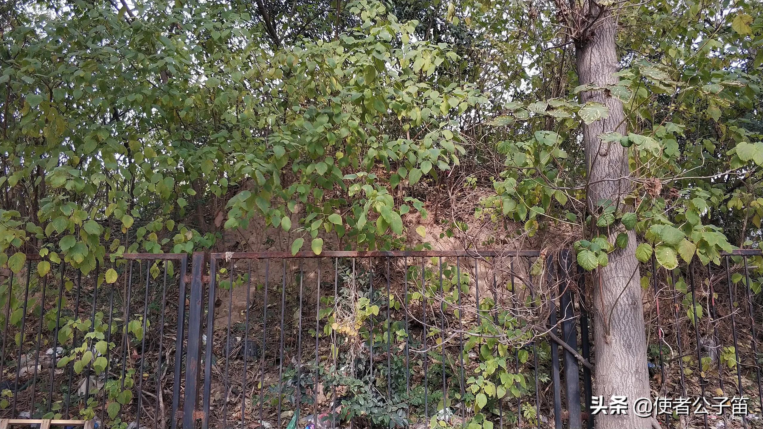 探秘西安长安,大明宫遗址公园攻略千宫之宫