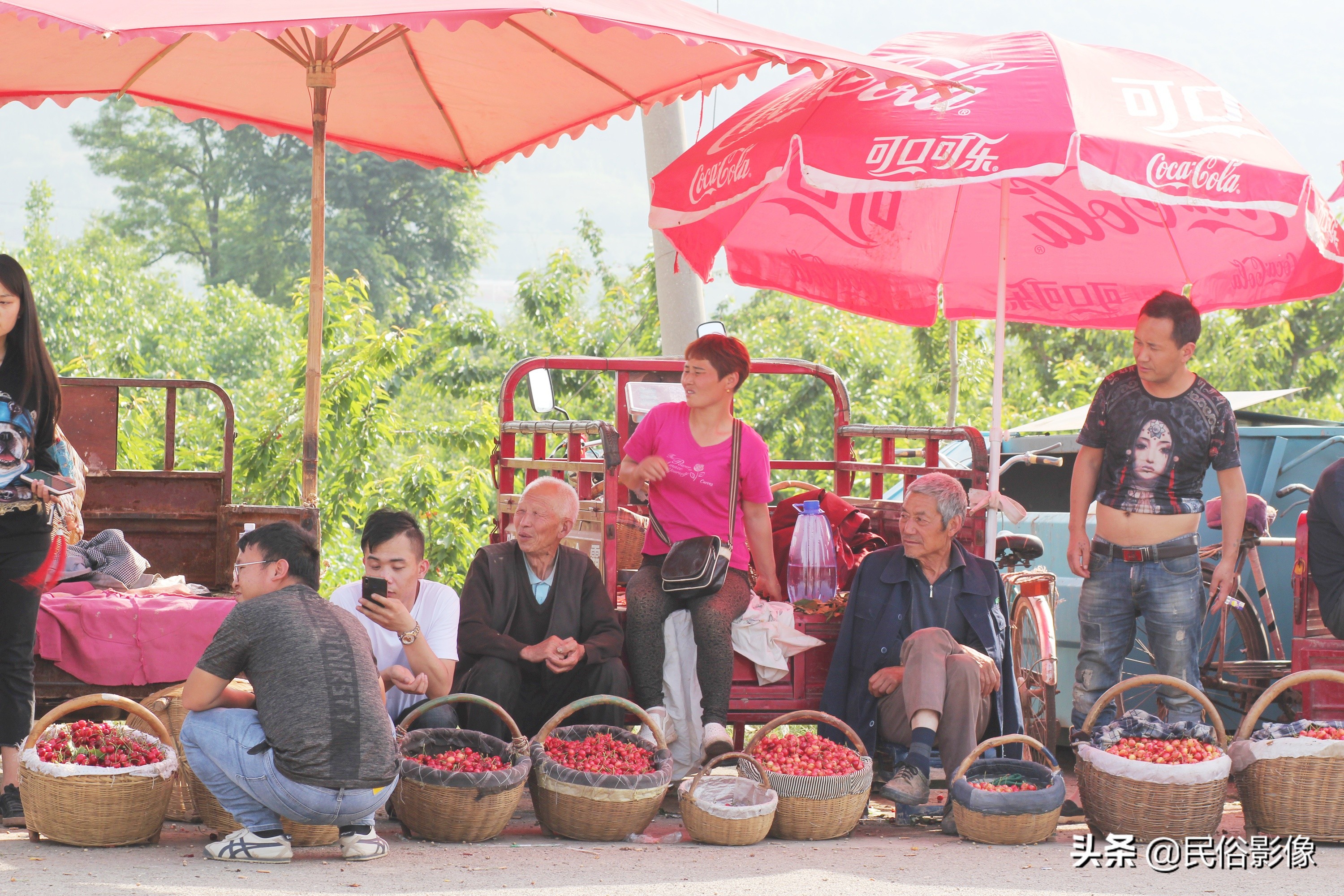 樱桃价格为什么相差那么大,大连美早樱桃价格表