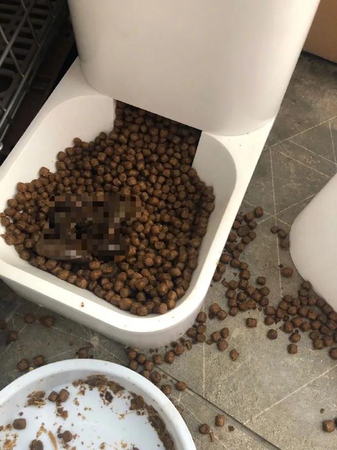 老公经常不在家怎么相处,老公失业在家做点什么能挣钱