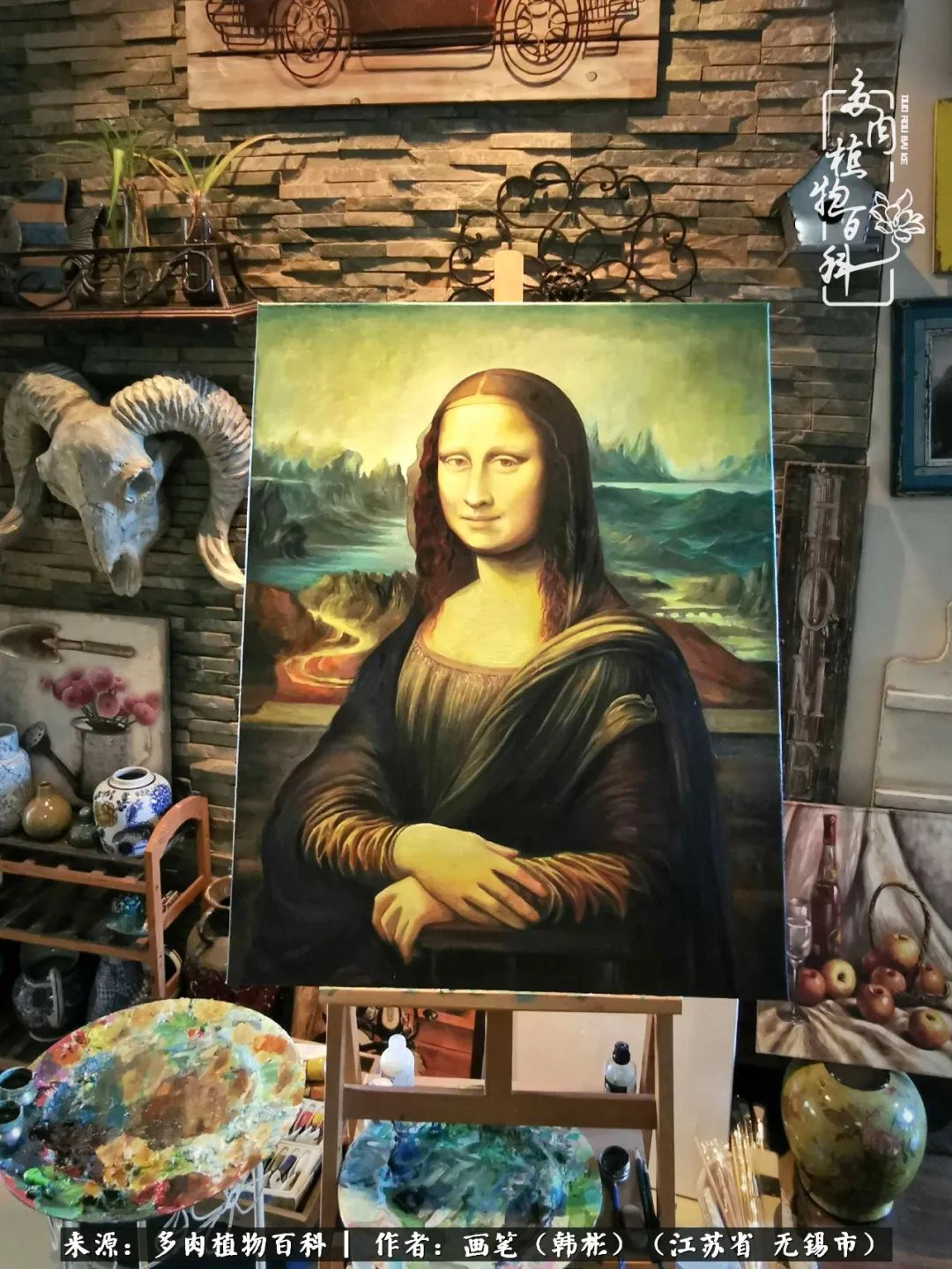 阳台多肉花园简直美翻了,适合男生养的多肉