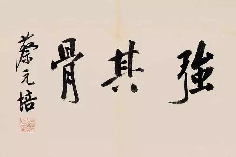 白岩松体育是最好的教育,白岩松体育一定会让你受益终生