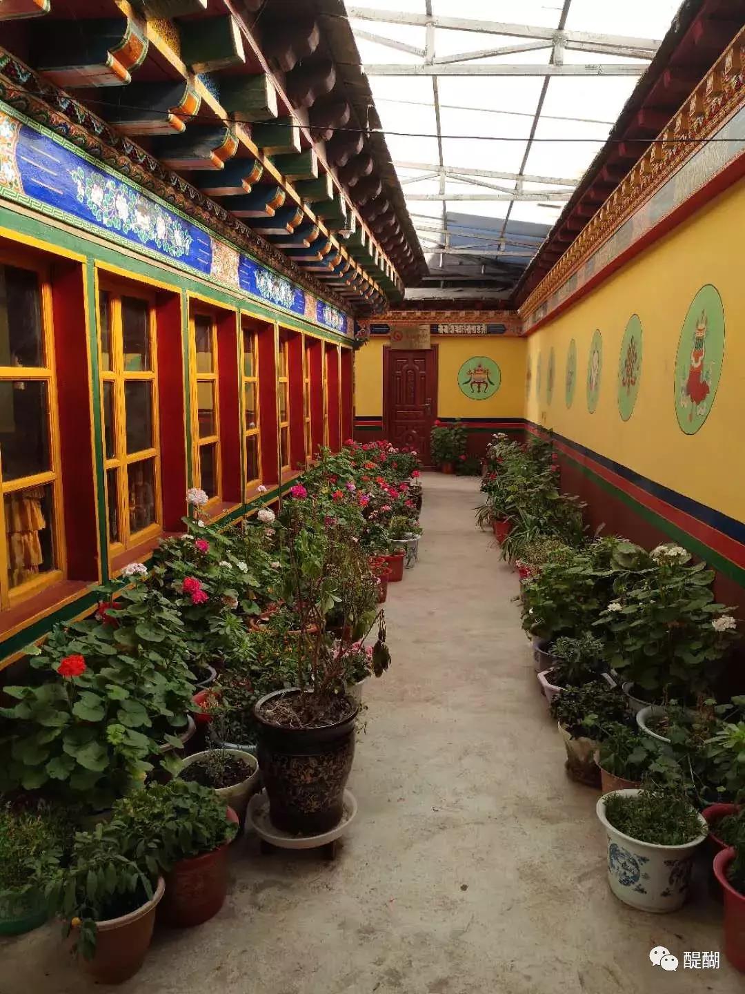 西藏红墙寺庙,西藏寺庙