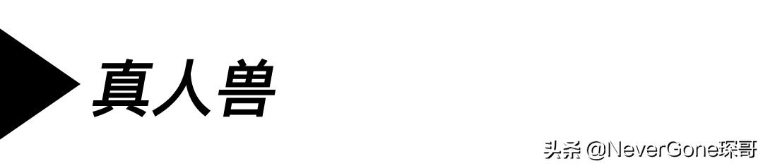 一双nike跑步鞋300,耐克复古经典低帮运动鞋