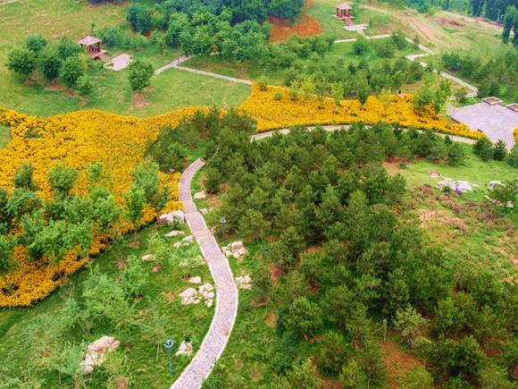 淄博是世界足球的起源地,临淄世界足球起源地