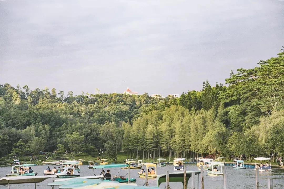 重庆轻轨10号线,10号线有什么玩的