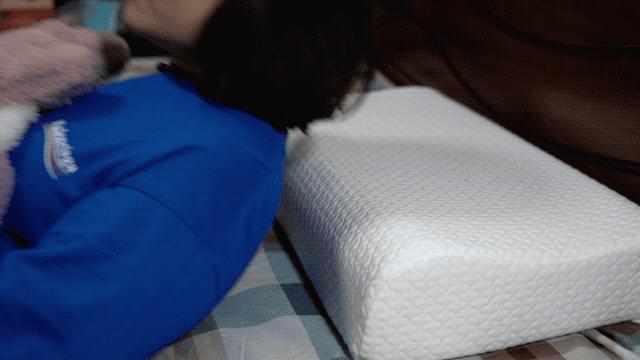 羽绒枕荞麦枕哪个贵,羽绒枕价格差距为什么那么大