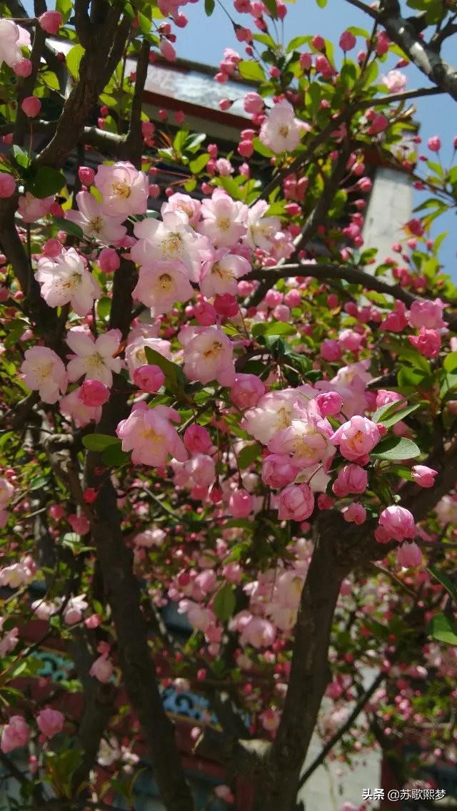 我和横店有个缘