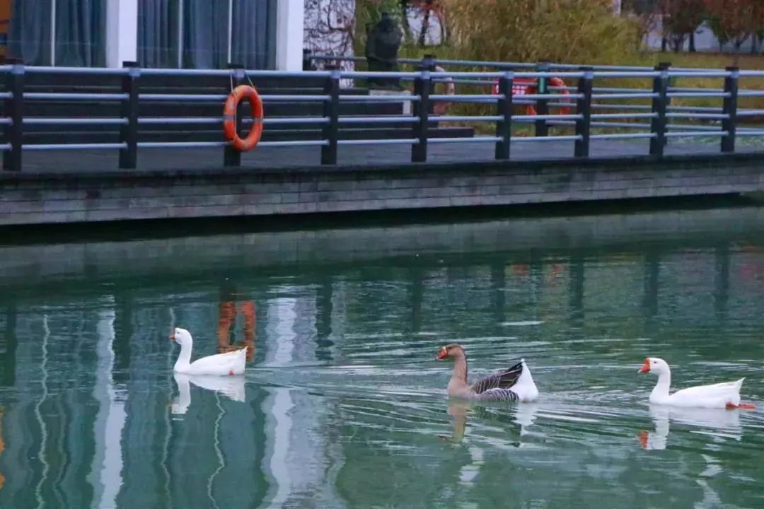 苏州工艺美院,苏州工艺美院代码