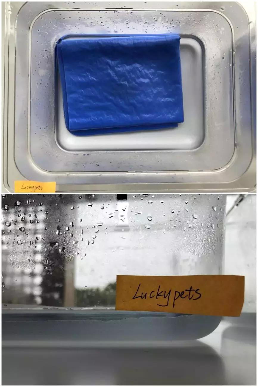 如此残暴的测评路子,这3款某宝销量火爆的宠物浴巾能否hold住?