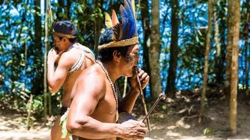 亚马逊河里的恐怖之处,亚马逊河里有多恐怖