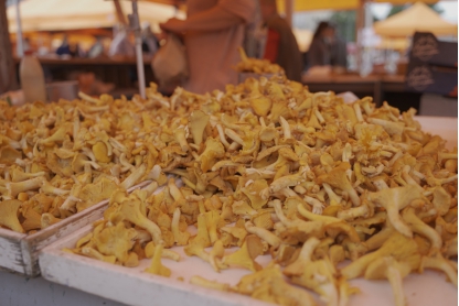 北活游记|来源于自然的食物，都比想象中的更美味，比如芬兰