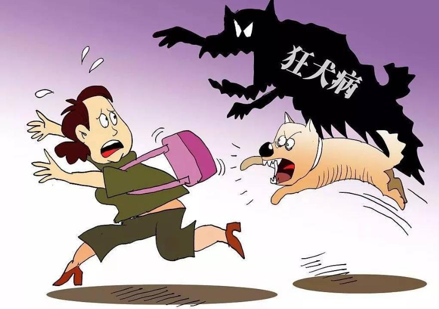 狗传染上狂犬病一天内会有症状吗,被动物咬了感染狂犬病有什么症状