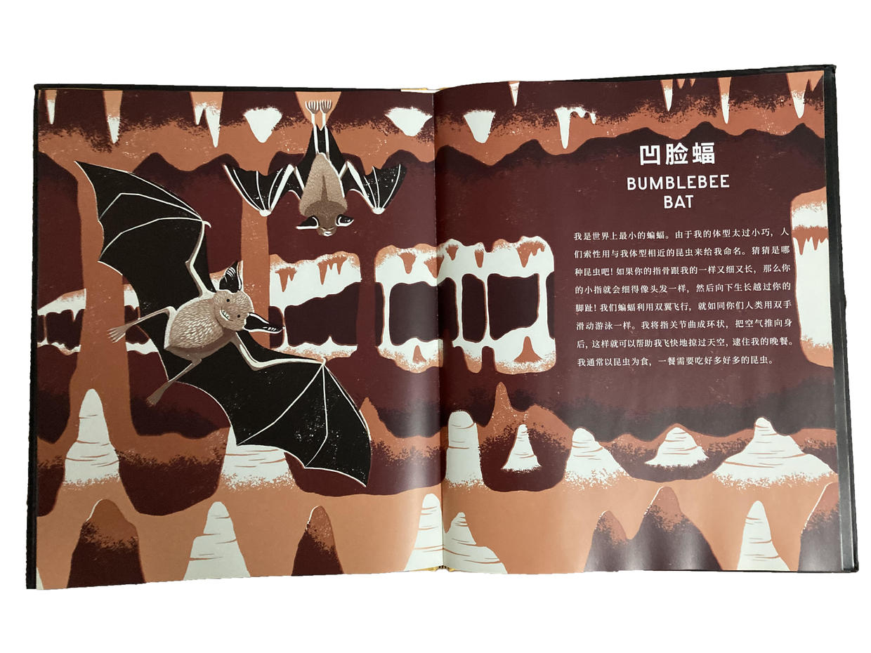 看科普绘本，学“骨科”知识，小朋友的《骨头之书》