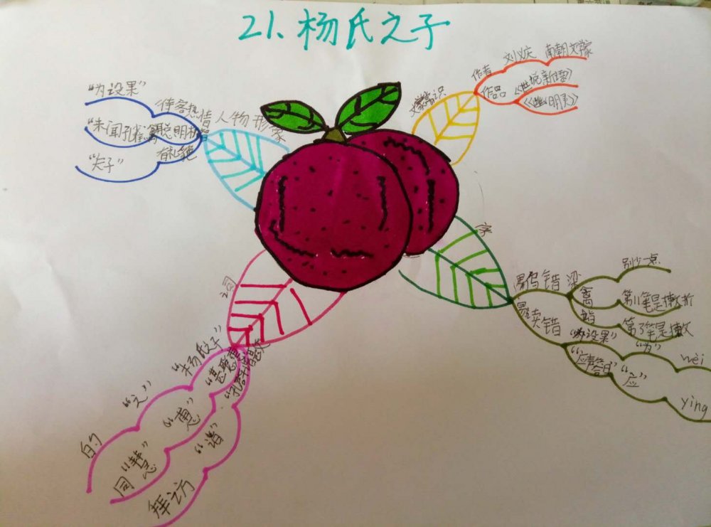 杨氏之子思维导图简单漂亮画法,语文思维导图画法童年