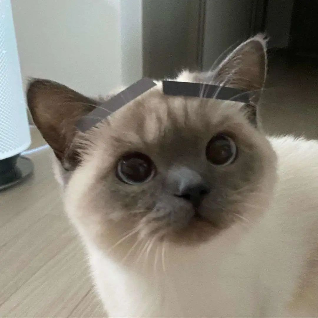 煤老板爆红完整版,煤老板ins