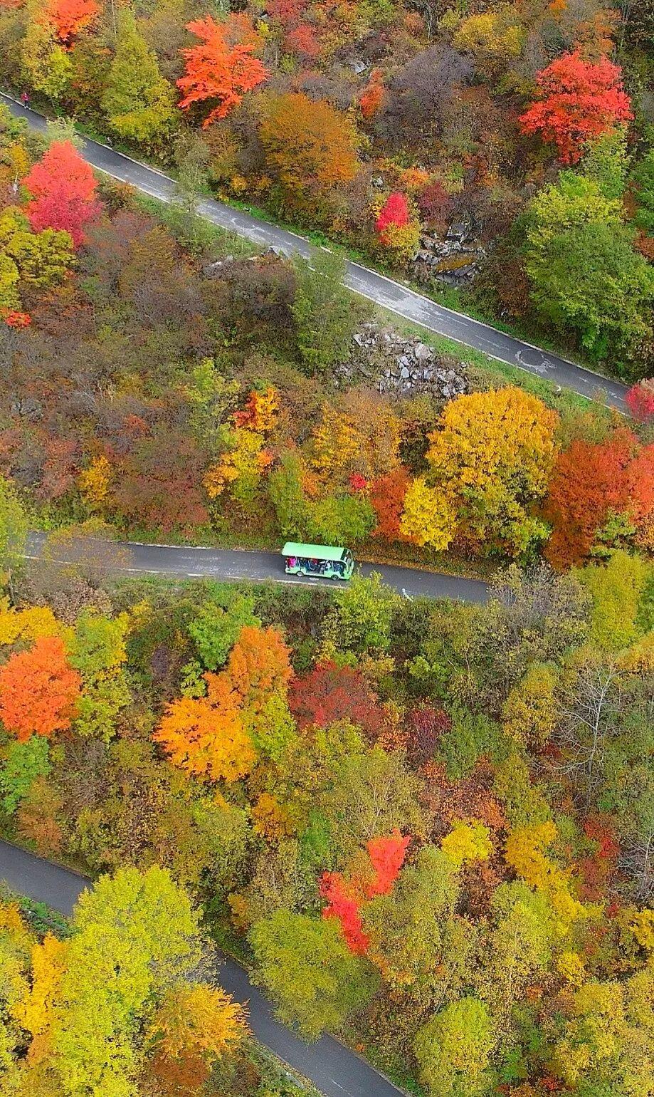 九寨沟旅游神奇的九寨,九寨沟风景不输瑞士