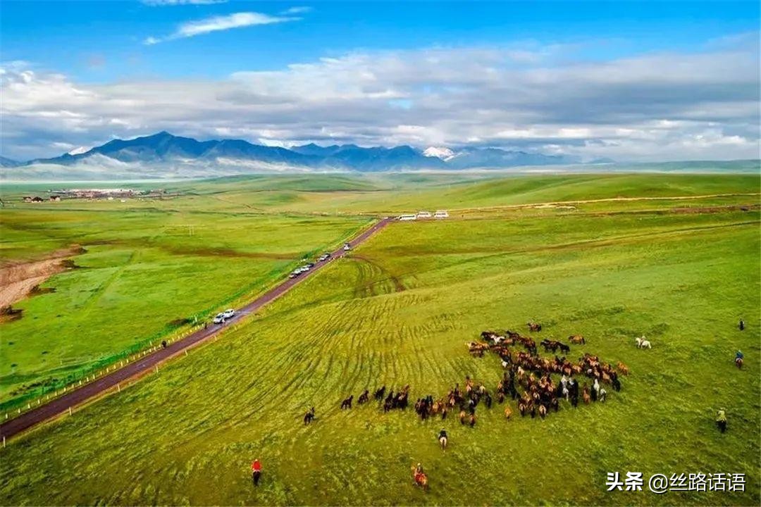 春暖花开等你来赏花,春暖花开等你来赏花原唱视频