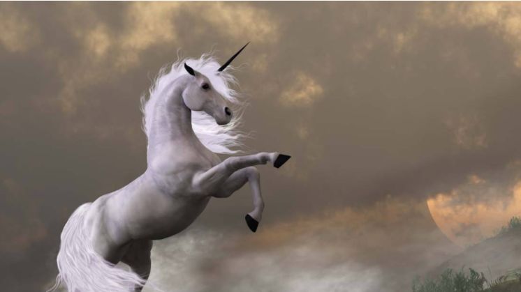 大消费板块潜力股,如何布局大消费板块股票