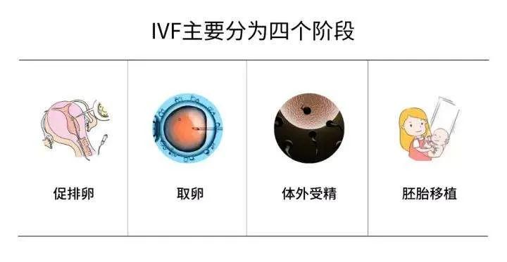 试管婴儿促排卵过程中的那些小疑问