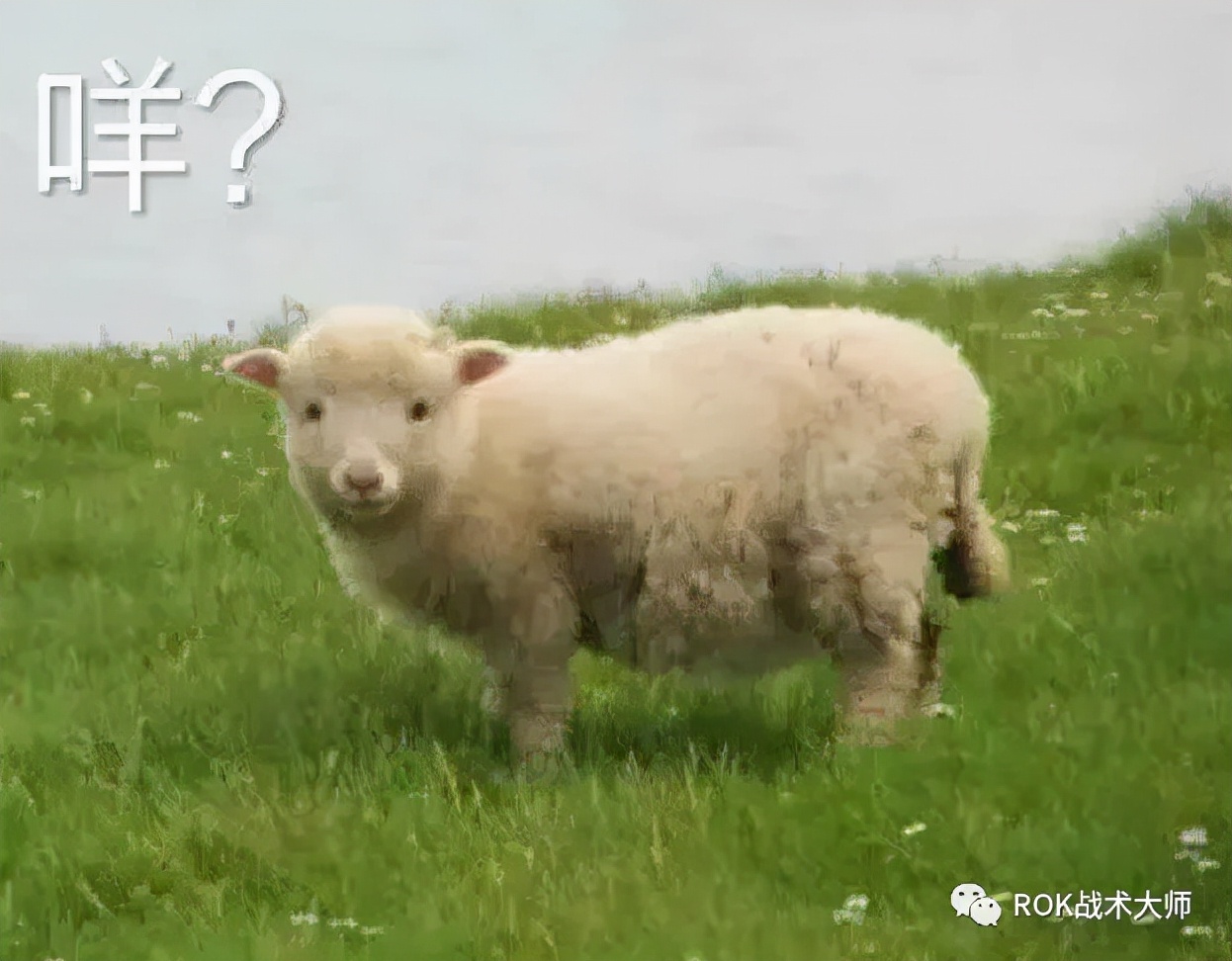 万国觉醒戒指图纸获得,万国觉醒埃及之战图纸