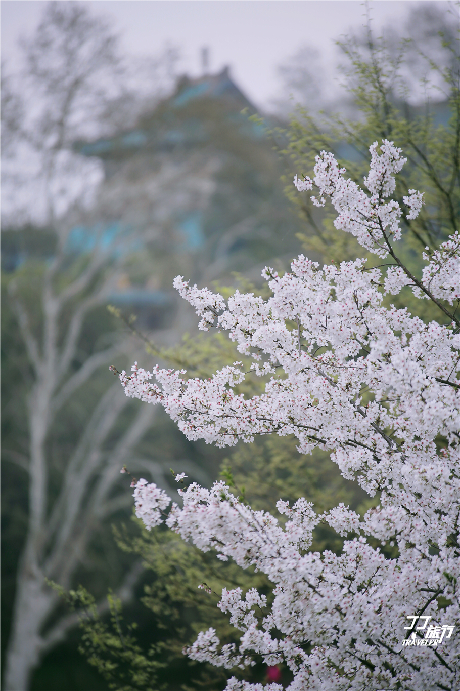 武汉必去的五大景点排名前十,武汉最值得去的五个景点
