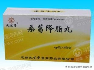 用于高血脂症的10大中成药,用于高血脂症的十种中成药