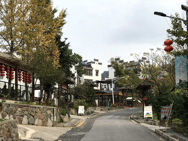 采菊东篱下悠然见南山拙政园,采菊东篱下悠然见南山芒种