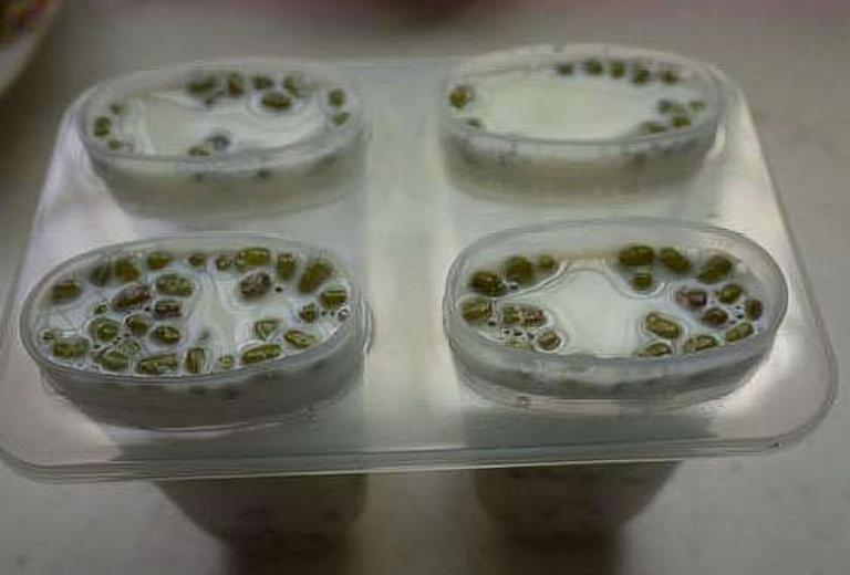 如何自制绿豆雪糕的做法,绿豆雪糕怎么做简单又好吃