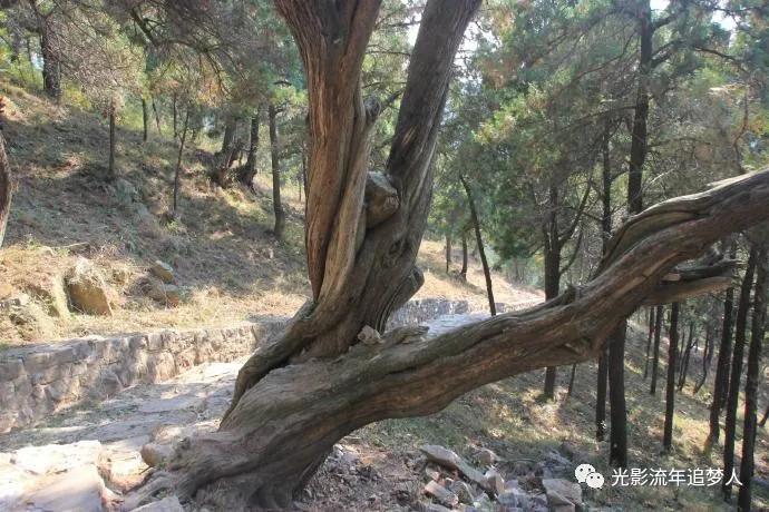 古寺灵岩寺,济南千年古寺灵岩寺