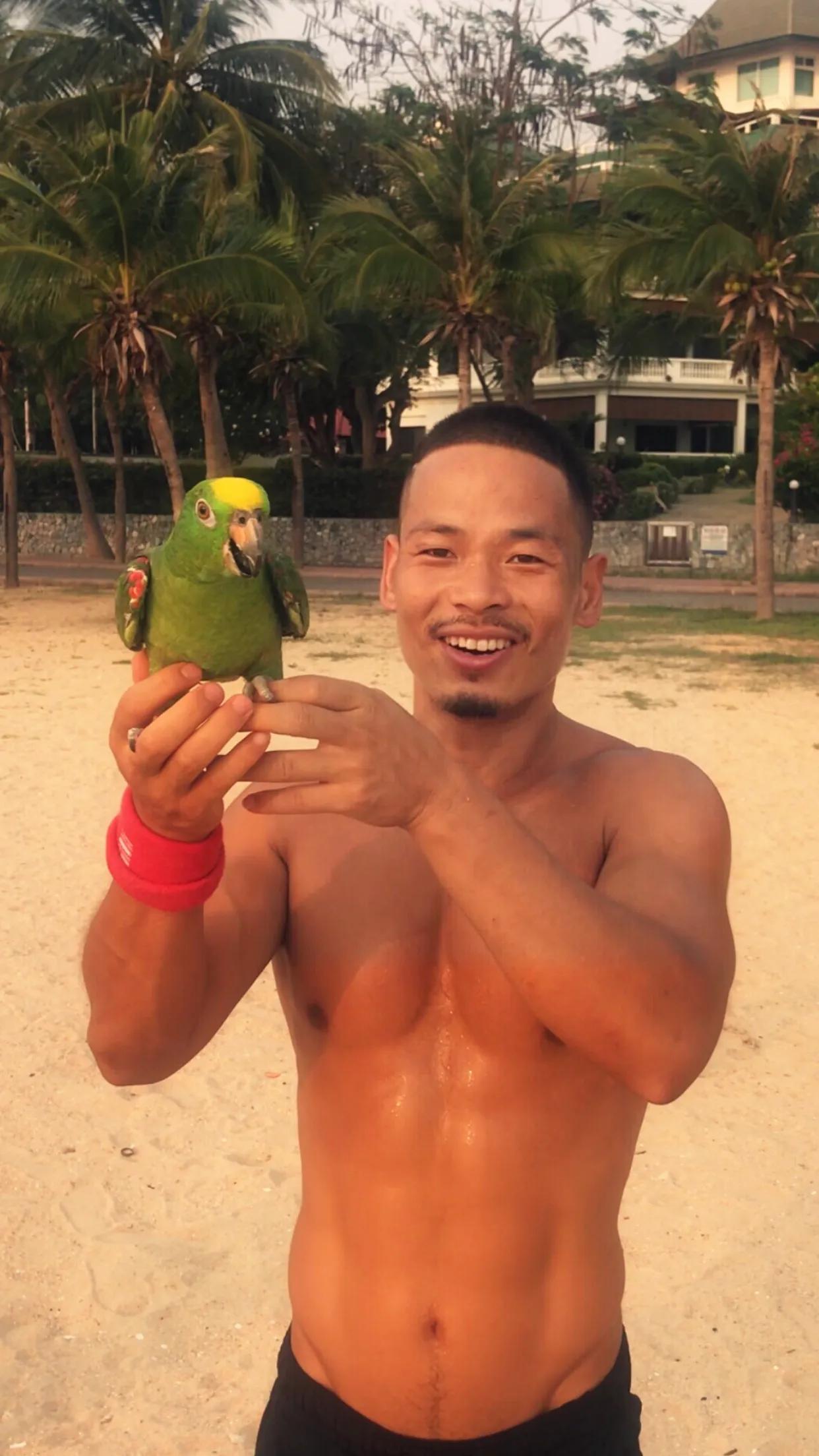 泰国的自然环境简介,泰国生态怎么样