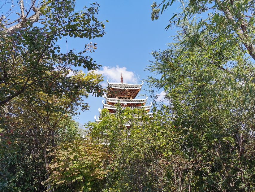 考试复习怎样才能考满分,考试对学生学习的作用