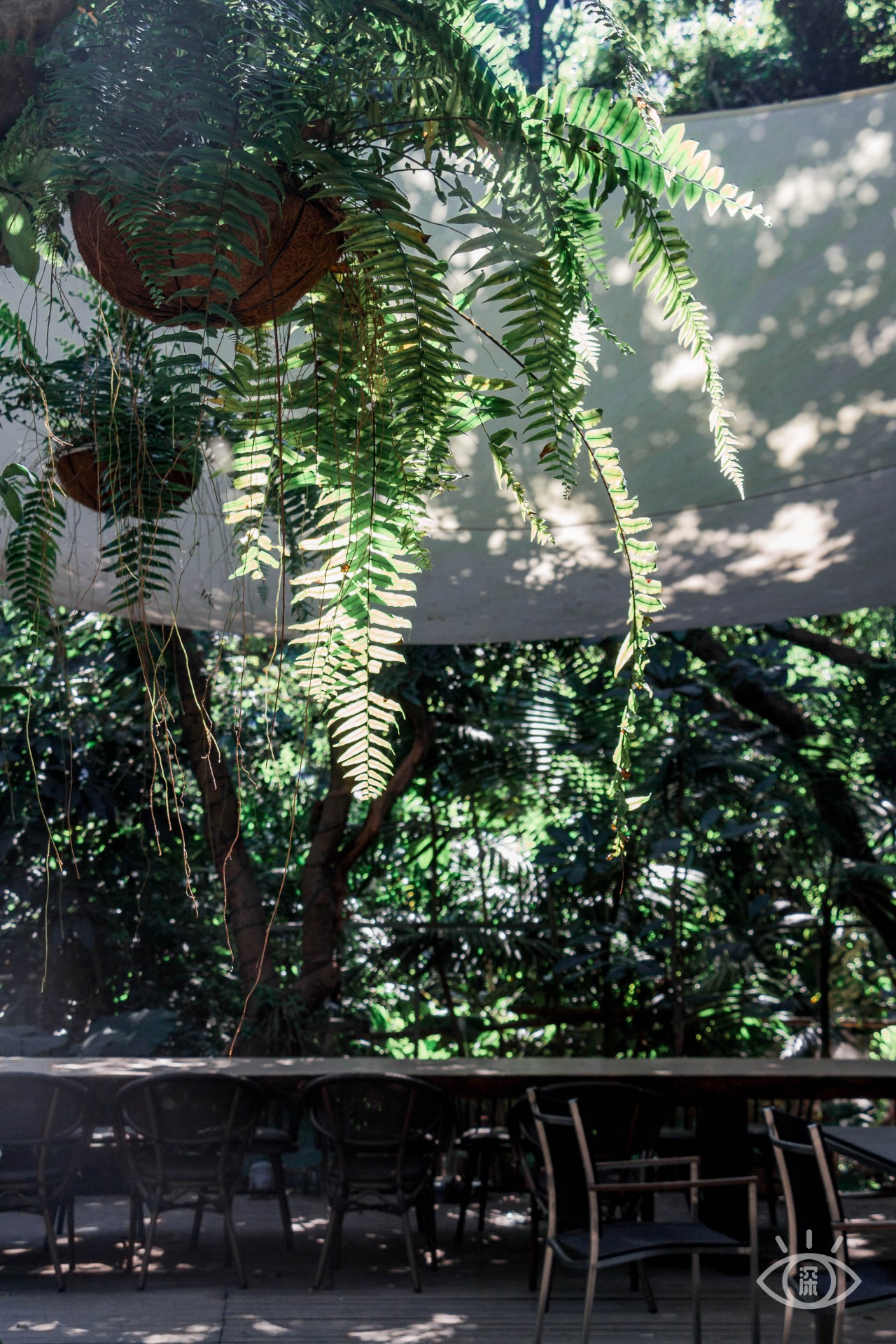 深圳十大顶级公园,深圳市十大风景公园排名