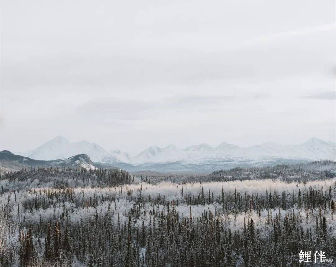 新冠肺炎治疗费免费吗,新冠肺炎天价治疗费感想