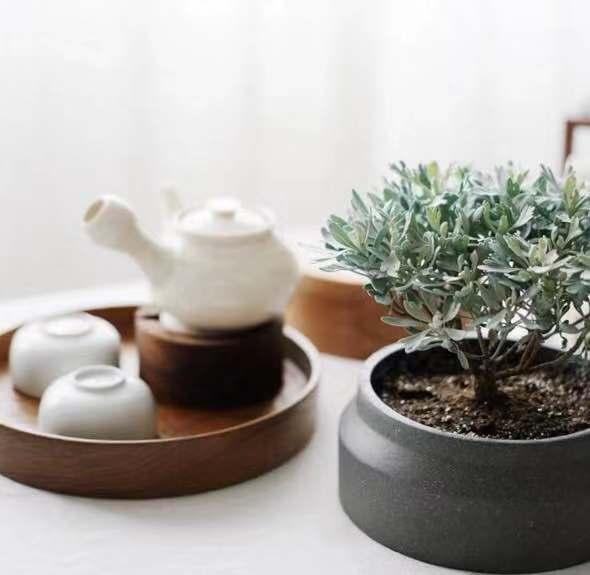 11月好物,10月实用好物推荐