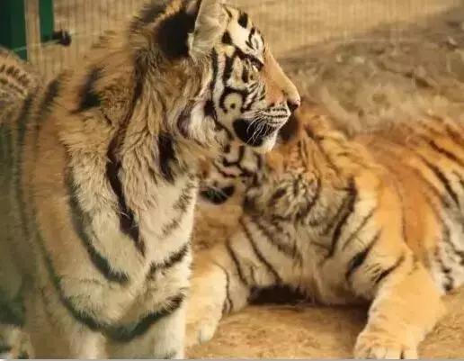 五一小众旅游推荐长沙周边,端午旅游推荐2-3天游长沙