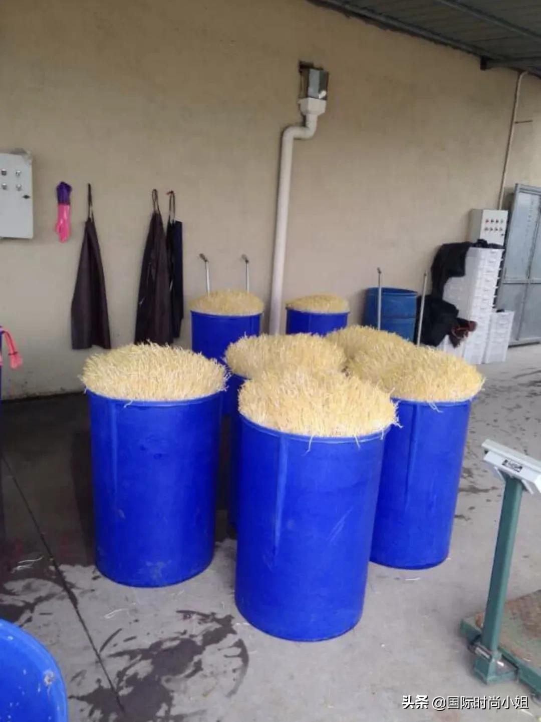 老纪是个什么人物,一个历史上的传奇人物