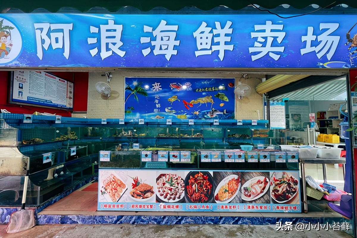 三亚吃住行,三亚自由行海边住宿攻略